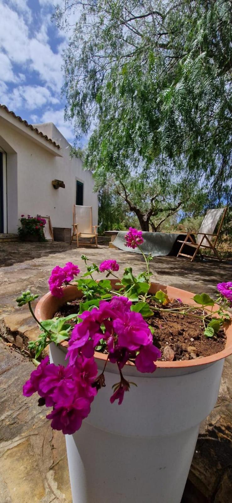 Casa Ibiscus Villa Marsala Eksteriør billede